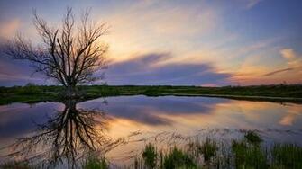 Perfect Reflection Wallpaper