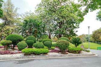 Image Thailand Rot Fai Park Nature Parks Trees Shrubs