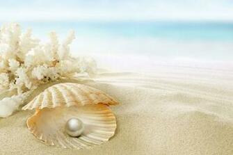 Order Oyster Pearl Wallpaper To Create Fantastic Wall Decor In