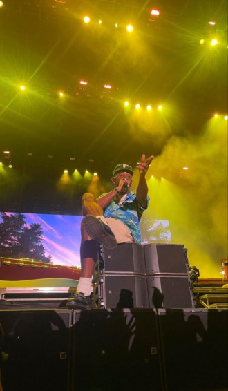 Ana On Tyler The Creator Wallpaper