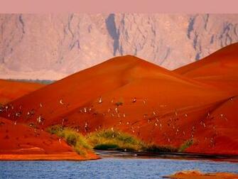 Scene Wallpaper Desert