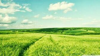 Desktop Wallpaper Summer