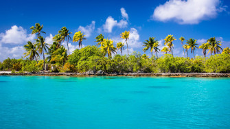 Exotic Ocean Beach With Palm Trees UHD 4k Wallpaper