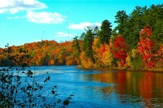Fall Computer Wallpaper