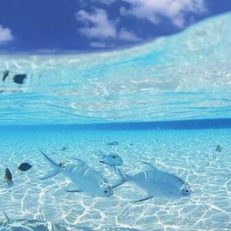 Water Wallpaper Maldives Top Travel Lists iPad Gallery