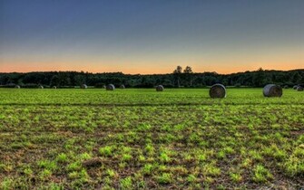 Grassland Landscape Wallpaper Desktop Background Scenery