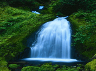 Animated Gif File Wallpaper