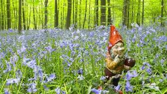 Garden Gnome Wallpaper Wallpoper