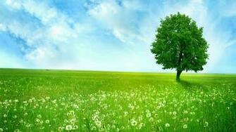 Best Top Desktop High Quality Wallpaper HD Background Image Pictures