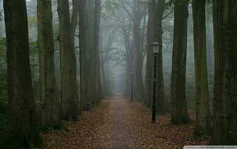 Foggy Gloomy Day UltraHD Wallpaper Printed