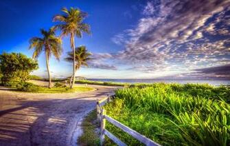 HD Nature Image Wallpaper Of Natures Organic Fresh Air Smart