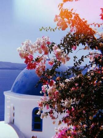 Corrine On Huji Cam Inspire Aesthetic Pictures Quotes