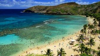 Afternoon Hawaii Beach Wallpaper Wide