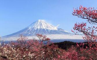 Fuji Wallpaper Related Keywords Amp Suggestions