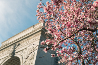 Wallpaper Id Spring Washington Square Park Nyc And
