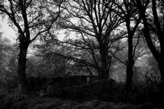 Generation Wallpaper Metal Gothic Heavy Pictures