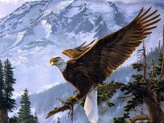 Eagle HD Wallpaper Desktop Pictures One