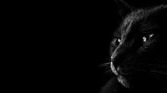 Dark HD Wallpaper