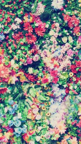 Floral iPhone Plus Wallpaper For A Sunny Spring Preppy
