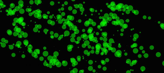 Green Neon Wallpaper Bubbly