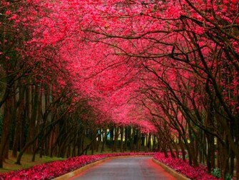 Autumn Image Wallpaper Photos