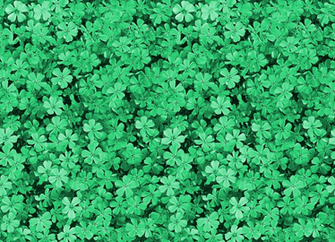 Pretty Flower Background For Png