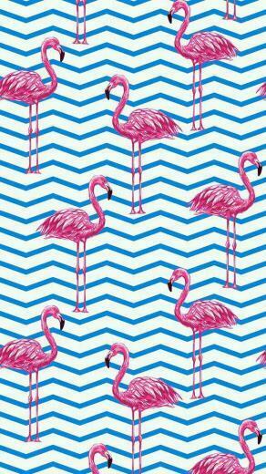 Pink Flamingos Wallpaper Shared By Amyjames On We Heart It