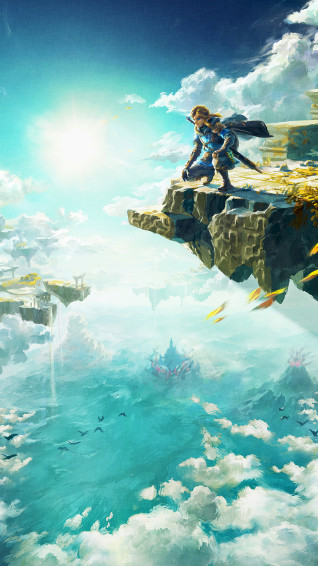 The Legend Of Zelda Tears Kingdom Artwork Wallpaper Cat