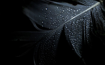 Black HD Desktop Wallpaper On