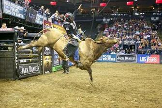 Bull Riding Wallpaper
