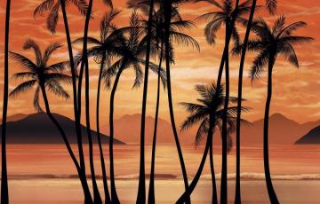 Scarface Tropical Loopable Wallpaper