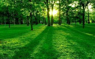 Beautiful Nature Background