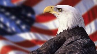 American Eagle Quality HD Image Gsfdcy