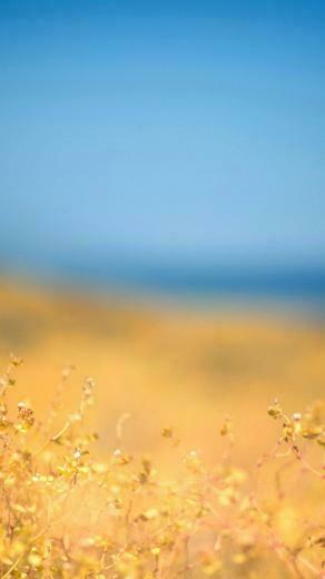 Blue Grass Autumn Sky Wallpaper For Htc One M8