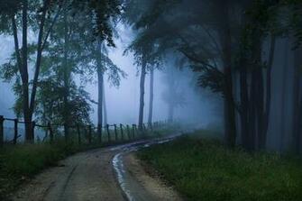 Road Fog Night Haze Gloom Trees Protection Dirt Stock