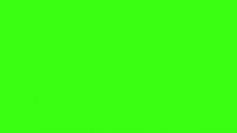 Green Solid Color Background And The Below