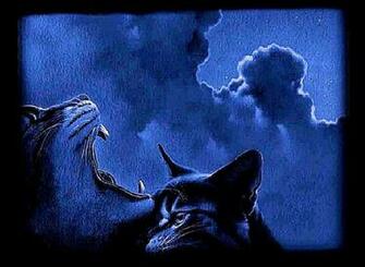 Warrior Cats Wallpaper Desktop Funny