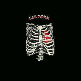 Cm Punk By Dark Angel