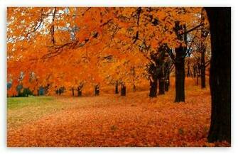 Autumn In Wisconsin Wallpaper