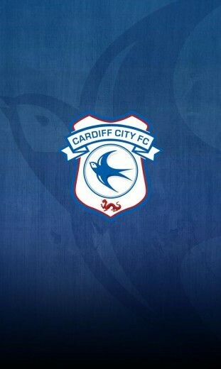 All Things Cardiff City On Wallpaper To Use