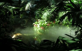 Jungle Wallpaper