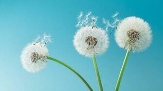 Can You Develop Allergies Later In Life Rachael Ray Show