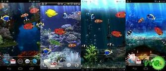 Fish Tank 3d Live Wallpaper