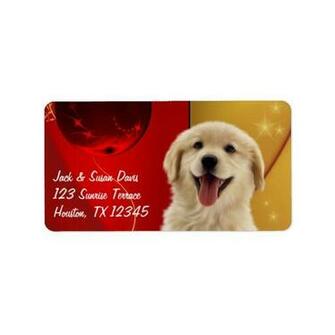 Golden Retriever Christmas