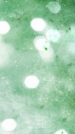 Green Beer iPhone 5s Wallpaper iPad