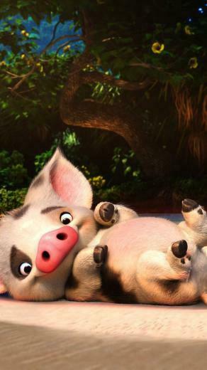 Moana Desktop Background Pua Wallpaper iPhone