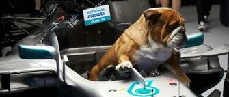 Mercedes Amg Petronas Motorsport News