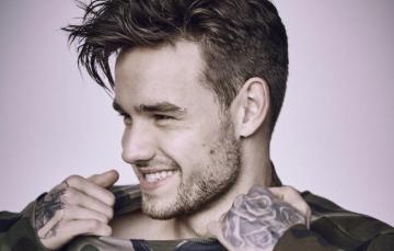 Wallpaper Look Pose Smile Male Liam Payne Image For Desktop
