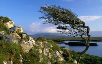 Descriptif Irlande Connemara Fond D Cran Courant Taille X