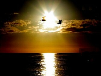 Sun Wallpaper HD Quality